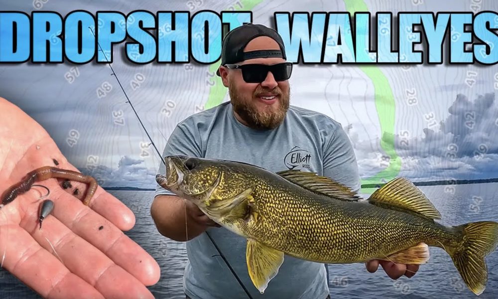 NextImg:Dropshot walleyes when you NEED to get bit – Target Walleye