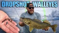 Dropshot walleyes when you NEED to get bit