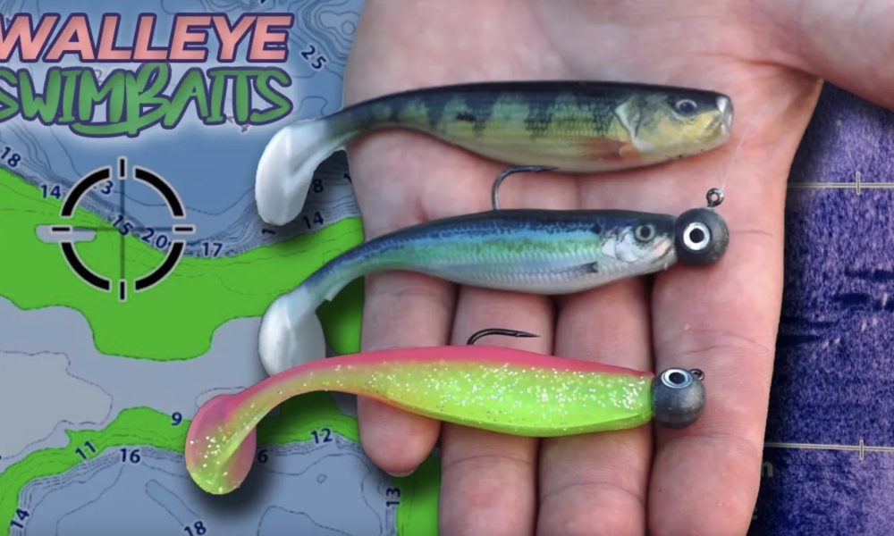 NextImg:Swimbait walleye breakdown (post-spawn thru early-summer) – Target Walleye