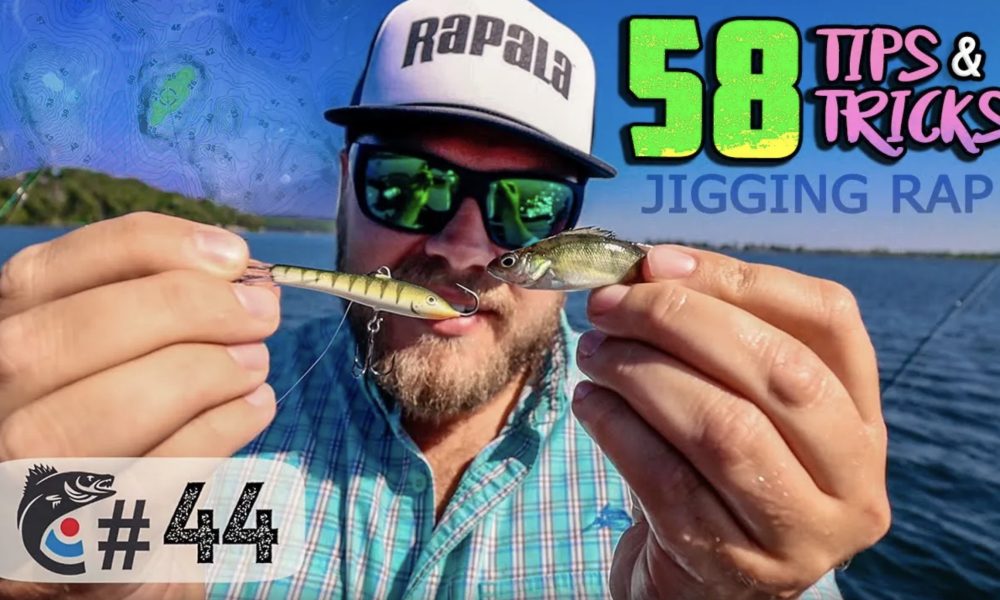 NextImg:50+ Jigging Rap tips you NEED to know! – Target Walleye