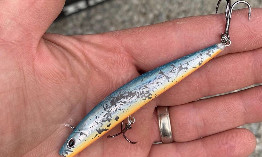 Berkley Finisher wins NTC, Rare yeller-belly walleye, How Tom Boley slip-bobbers – Target Walleye