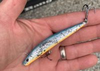 Berkley Finisher wins NTC, Rare yeller-belly walleye, How Tom Boley slip-bobbers