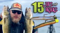 15+ Ned Rig walleye fishing tips you NEED to know!