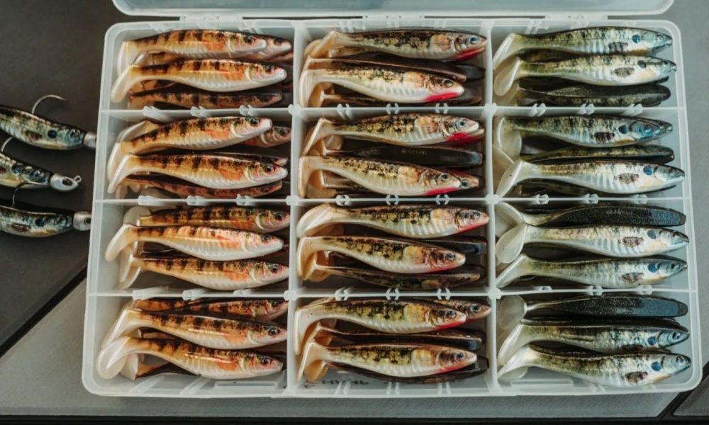 NextImg:How Hoyer snap jigs, Fish can be druggies, Mono vs braid with planer boards – Target Walleye