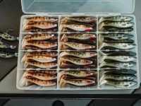 How Hoyer snap jigs, Fish can be druggies, Mono vs braid with planer boards