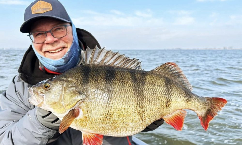 Live sonar rant, Break down lakes fast, Massive European perch – Target ...