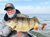 Live sonar rant, Break down lakes fast, Massive European perch