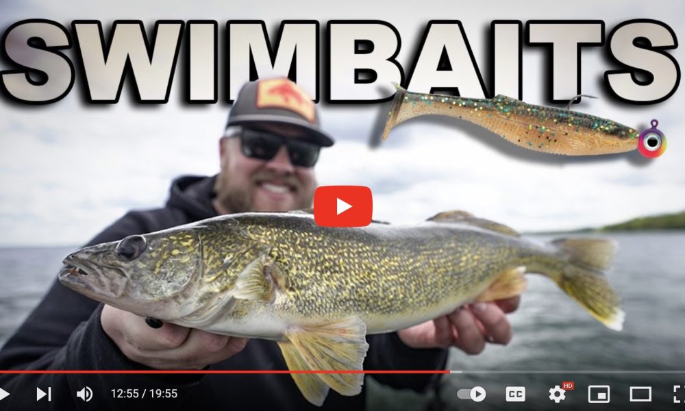 NextImg:Swimbait tips for scattered walleyes – Target Walleye
