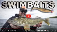 Swimbait tips for scattered walleyes