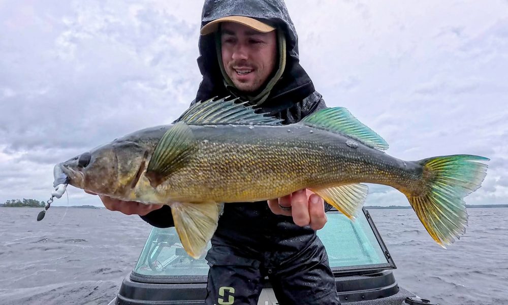 NextImg:Pop goes the Finisher, Trolling bait-school trick, DIY bimini top – Target Walleye