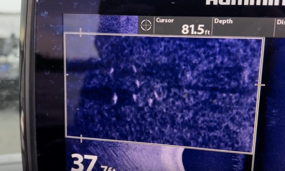 NextImg:Mono out-fishes braid, Sneaky Jigging Rap tweak, Kiddo Deweys a giant – Target Walleye