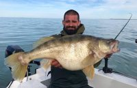 Secret ChatterBait walleyes, Lake Erie freakazoids, Side imaging car lot