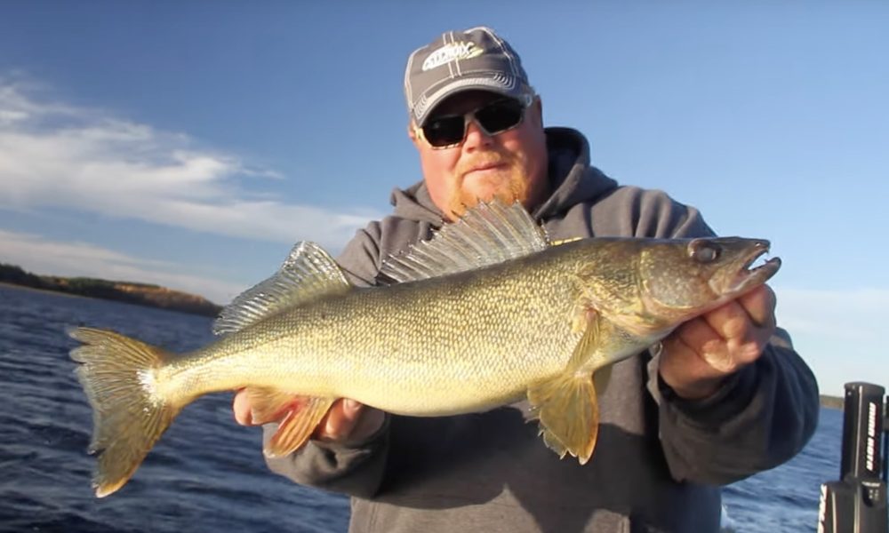 Random FFS thoughts, Sneaky split-shot trick, Hilarious redtail hack – Target Walleye