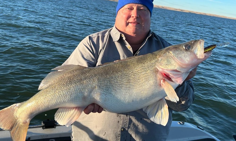Teener of the week, DIY flip-over floor, Sprengel double bubbles – Target Walleye