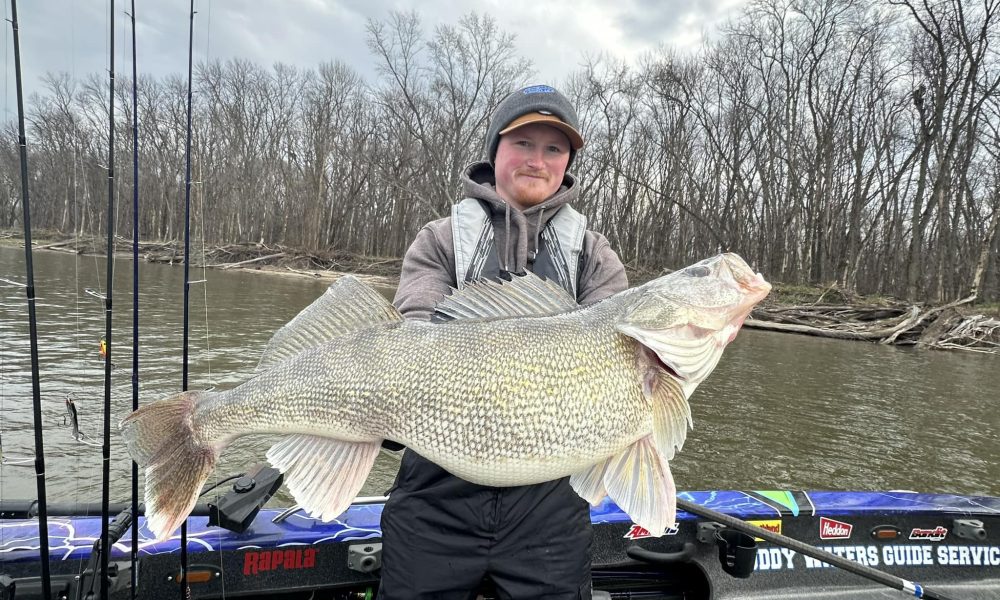 NextImg:Early-ice cadences, Mississippi River giant, Tiller life things – Target Walleye