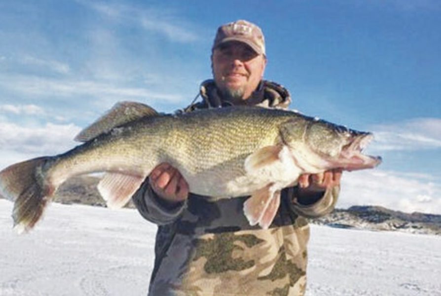 Fort Peck teeners, Communicate by transducer, Flagging giant gators – Target Walleye