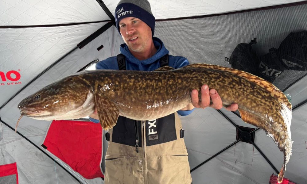 Fish eat the darndest things, How Hoyer Jacks ‘em, 18-lb burbot iced – Target Walleye