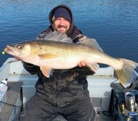 Tagged Lake Winnipeg fish, Male vs female walleyes, Can walleyes get cataracts