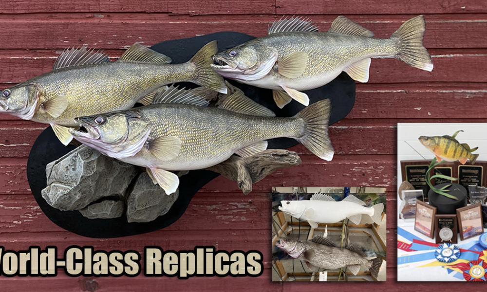 NextImg:Tyler Erickson is Revolutionizing Fish Taxidermy with World-Class Replicas – Target Walleye