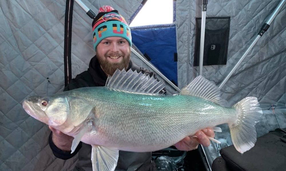 Ice heaves create contours, Late-ice perch search, It’s burbot season – Target Walleye