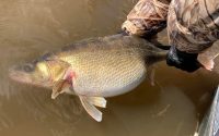 Early-spring walleye locations and techniques