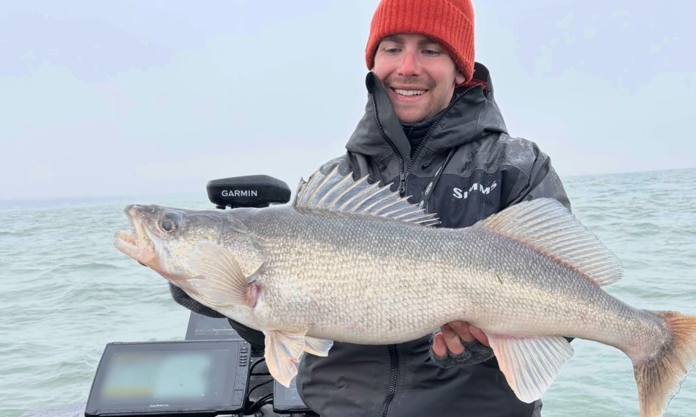 NextImg:MN walleye limit debate, Treble hook fail, Cannibalistic walleye – Target Walleye