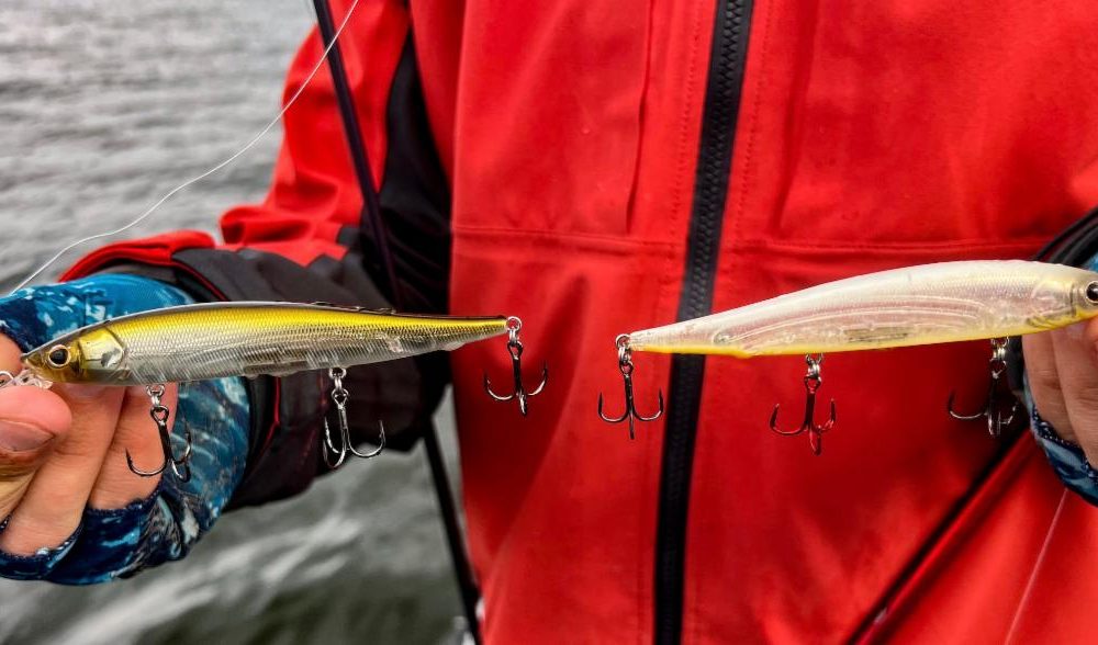 NextImg:Fish-flop Friday, Sprengel’s jerkbait program, Post-spawn walleye locations – Target Walleye