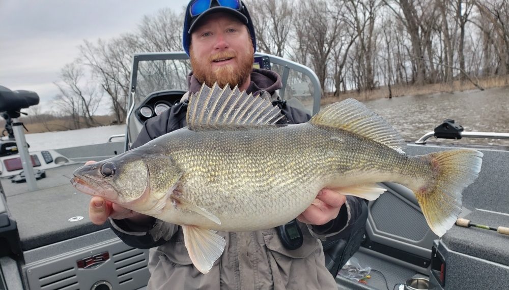 NextImg:Jig dragging tutorial, Spring river walleye locations, Euro mounting fish – Target Walleye