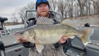 Jig dragging tutorial, Spring river walleye locations, Euro mounting fish