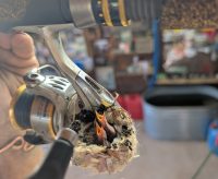 This bait could save your day, Birds nest on spinning gear, Summer shootout is on