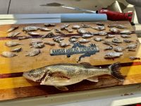 More alleged cheating, Fall feedbag defined, The Walleye Cup is back