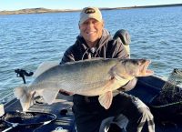 Lake Oahe teener, Salamanders in fall, Muskie vs walleye debate