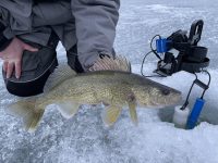 Shallow early-ice walleye, DIY flip-over floor, Sconnie-style tip-ups
